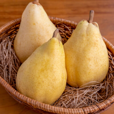 【贈答用】ル・レクチェ 2kg