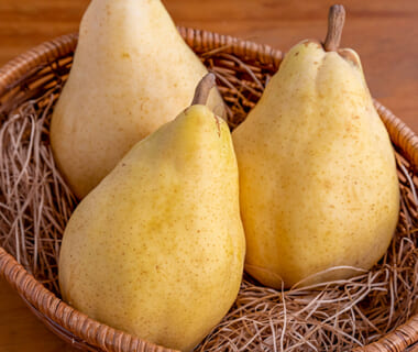 ル・レクチェ（贈答用・家庭用）