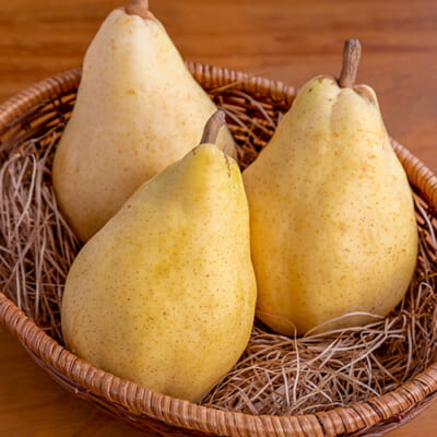 ル・レクチェ（贈答用・家庭用）