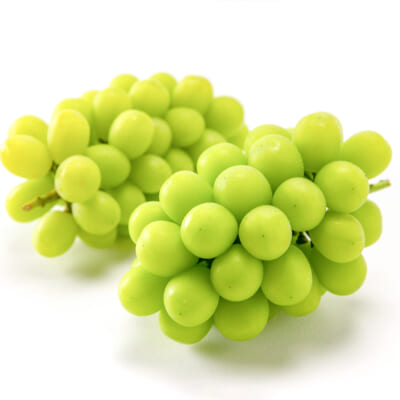 新潟県産シャインマスカット 1.7kg