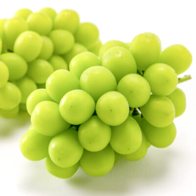 新潟県産シャインマスカット