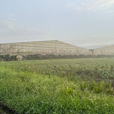 ハウスの温度・湿度も細かく管理