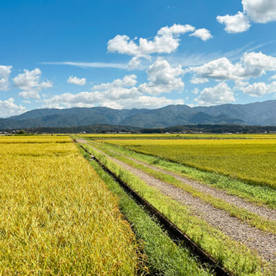 こだわりの土づくりで、食味を高める