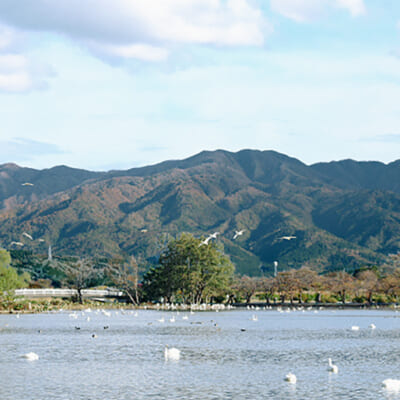 豊かな緑と水が育む、美味しいお米