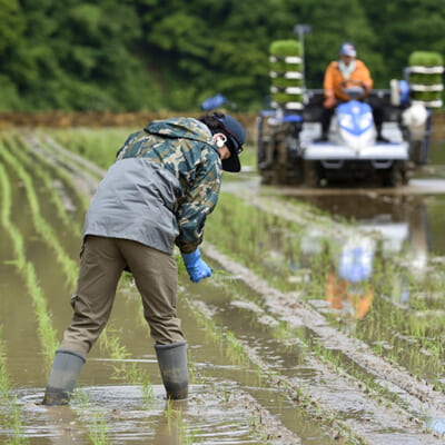 力強い味わいを生む、独自の栽培方法