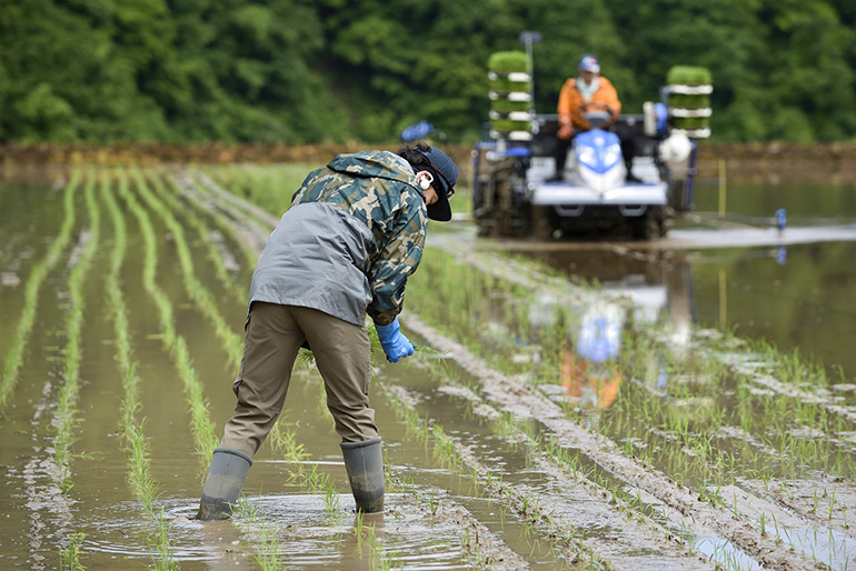 力強い味わいを生む、独自の栽培方法