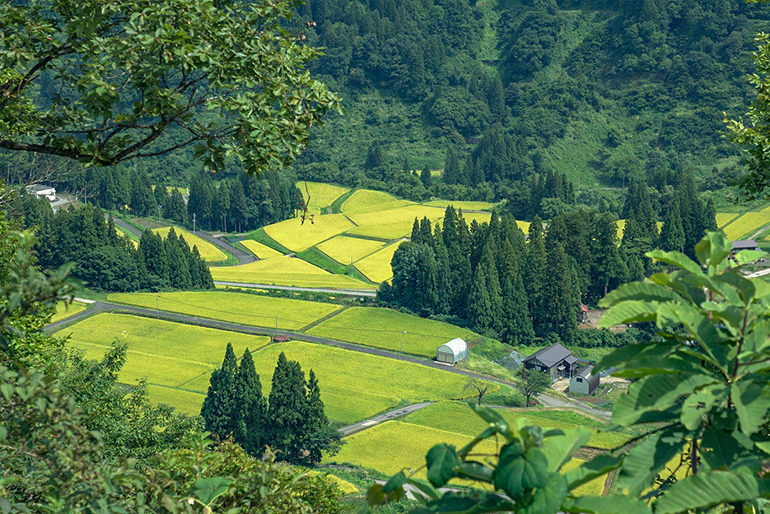 雪解け水と昼夜の寒暖差が、美味しさの秘密