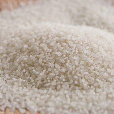 自然豊かな環境で、手間を惜しまず育てた「白嶺米」