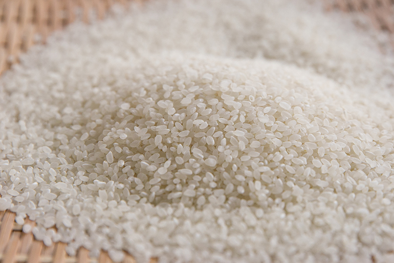 自然豊かな環境で、手間を惜しまず育てた「白嶺米」