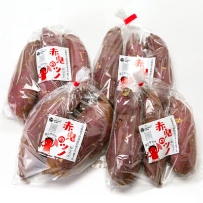 新潟県産さつまいも「赤鬼のツノ」（紅はるか）2kg