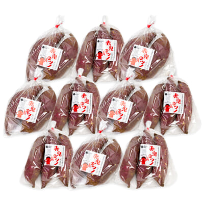 新潟県産さつまいも「赤鬼のツノ」（紅はるか）5kg