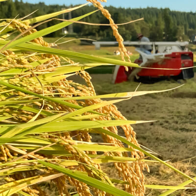 美味しい理由は、十日町市の栽培環境