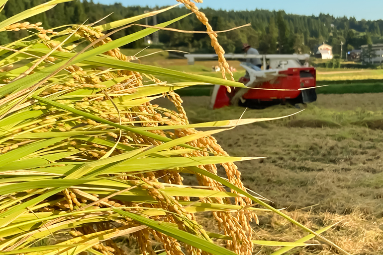 美味しい理由は、十日町市の栽培環境
