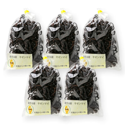 国産 干しぜんまい（大）500g