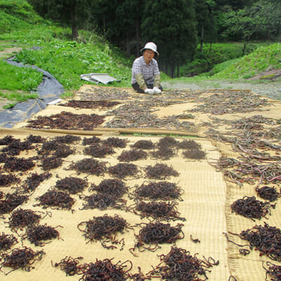 手もみで繊維をほぐし、ふっくら仕上げ
