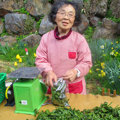 山を愛し、次世代へつなぐ「おいしい山菜を守る想い」