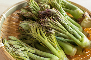 8.&ensp;たらの芽