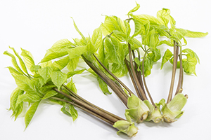 9.&ensp;こしあぶら