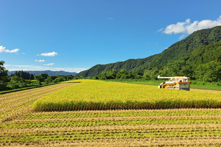 美味しさの理由は、五十沢地区の豊かな自然