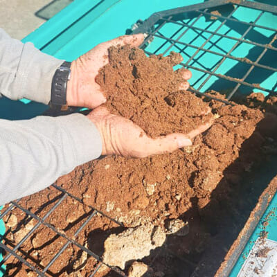 自家製のぼかし肥料をたっぷり活用