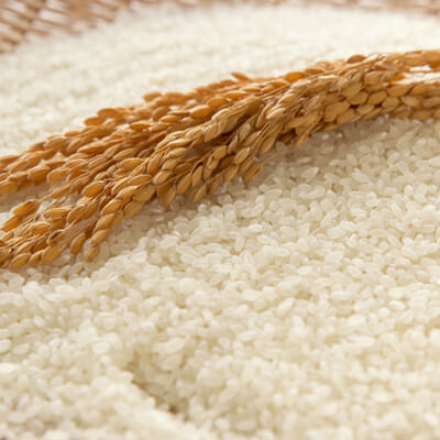 噛むほどに広がる旨味が自慢の「魚沼産コシヒカリ」