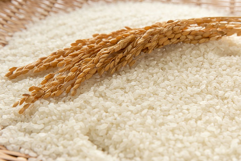 噛むほどに広がる旨味が自慢の「魚沼産コシヒカリ」
