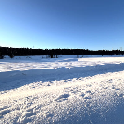 ミネラル豊富な土壌が広がる豪雪地帯