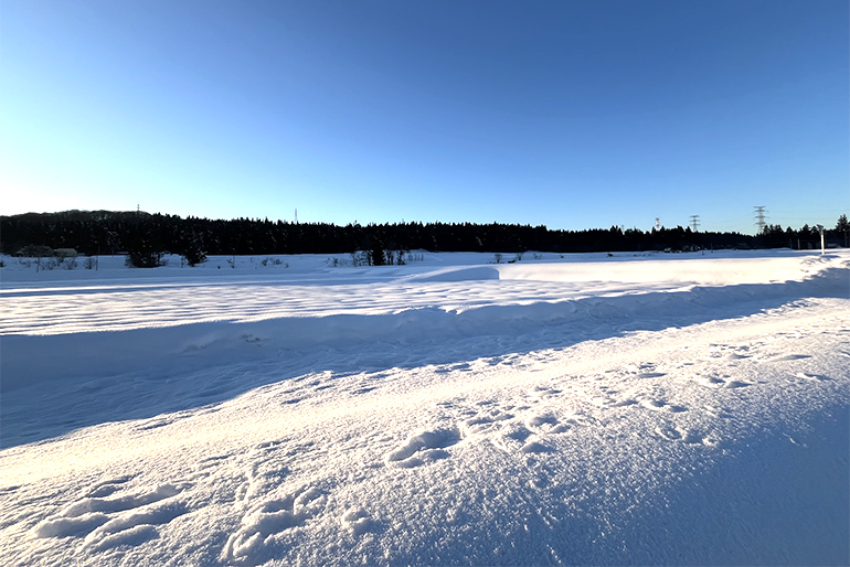 ミネラル豊富な土壌が広がる豪雪地帯
