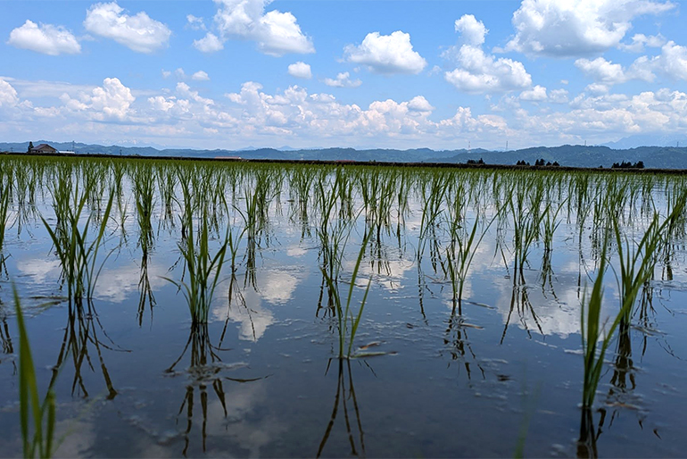 米づくりに適した、川西地域の環境