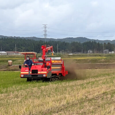 有機質肥料を使って、肥沃な土壌を育てる