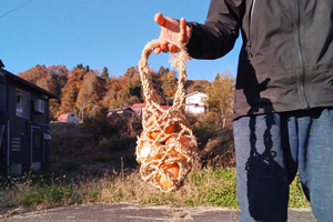 2.&ensp;中サイズ