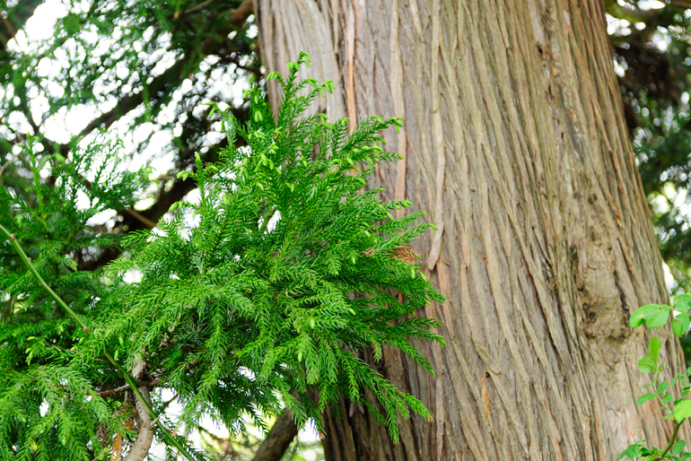 アウトドアにぴったりな3商品を詰め合わせ