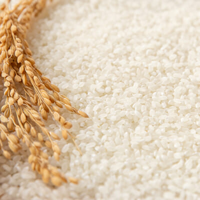 基準を満たした農場にのみ与えられる「JGAP認証」を取得