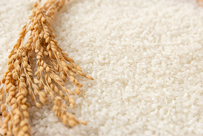 基準を満たした農場にのみ与えられる「JGAP認証」を取得