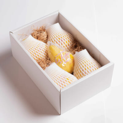 【贈答用】ル・レクチェ 2kg