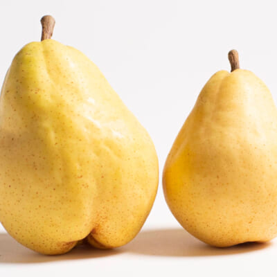 とろけるような濃厚な味わいの「ル・レクチェ」