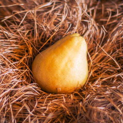 収穫後に「追熟」することで、とろけるような味わいに変化