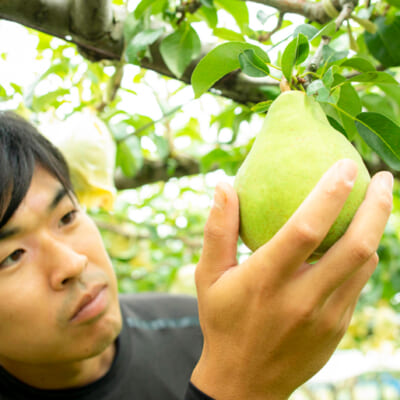 果樹がのびのびと成長できる環境づくりを徹底!
