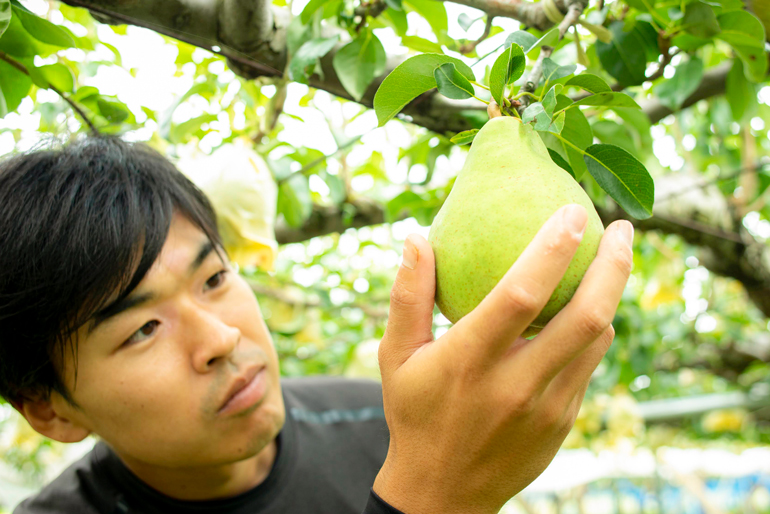 果樹がのびのびと成長できる環境づくりを徹底！