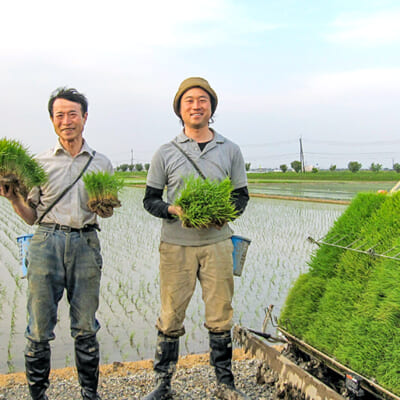越後平野の恵みを受けた米作り