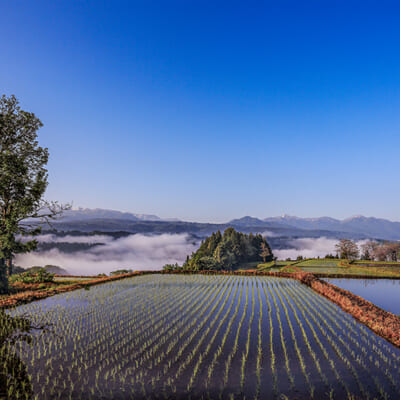 美味しさの秘密は、清らかな伏流水と寒暖差