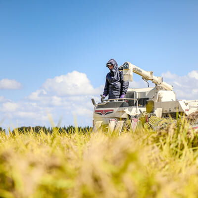 有機質肥料と水の管理がポイント