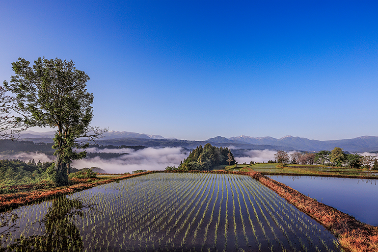 美味しさの秘密は、清らかな伏流水と寒暖差