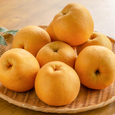 夏から秋にかけて、旬の味覚をお届けします