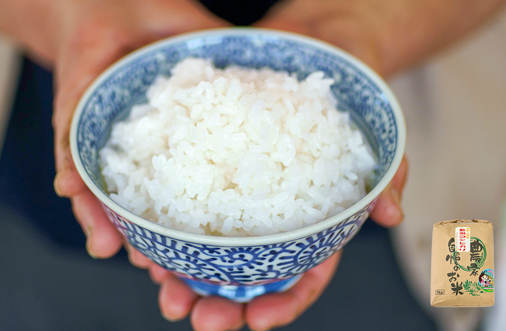 新潟直送計画】令和8年度米 新潟県産コシヒカリ – JATs食彩館