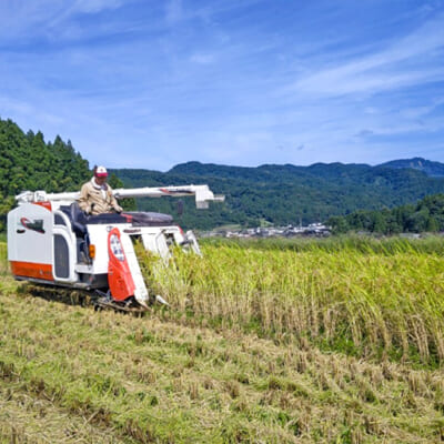 「フルボ酸」を活用して健康な稲に育てる