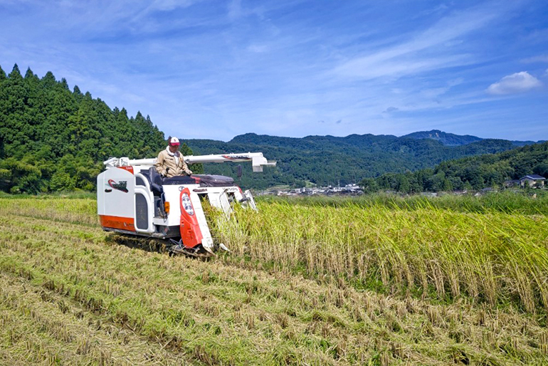 「フルボ酸」を活用して健康な稲に育てる