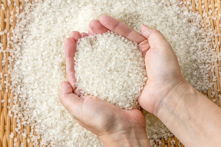 その美味しさにリピーターも多い「糸魚川産コシヒカリ」