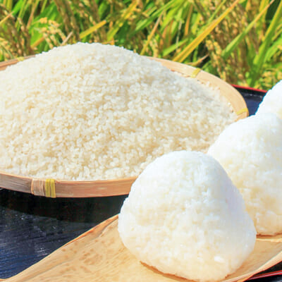 毎日の食卓に馴染む、安定感のある美味しさ