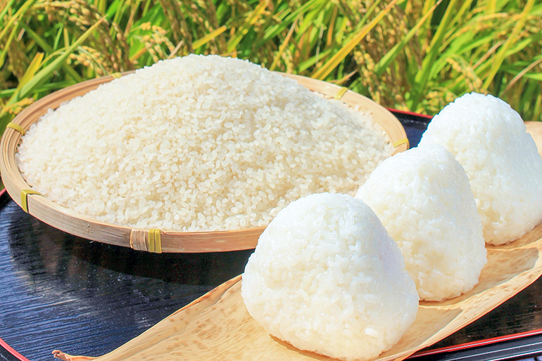 毎日の食卓に馴染む、安定感のある美味しさ